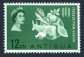 Antigua 133