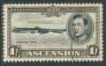 Ascension 46 perf 13 used