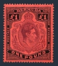 Bermuda 128 mlh