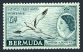 Bermuda 163