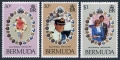 Bermuda 412-414 mlh