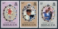 Bermuda 412-414 mlh