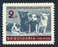 Bulgaria C82