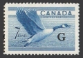 Canada O31 mlh