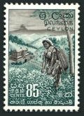 Ceylon 353 mlh