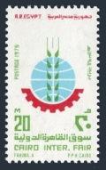 Egypt 978 mlh