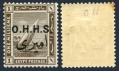 Egypt O11 mlh-yellow