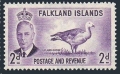 Falkland Islands 109