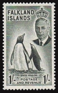 Falkland Islands 115 mlh