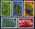 Falkland Islands 282-286