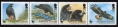 Falkland Islands 920-923 strip