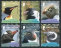 Falkland Islands C2-C7