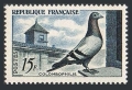France 818