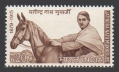 India 520