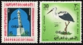 Iraq O308, O311 mlh