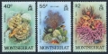 Montserrat 432-434