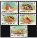 Montserrat 687-689, 692, 695