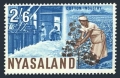 Nyasaland 131