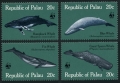 Palau 24-27
