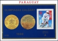 Paraguay C749 sheet 