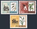 Poland 1112-1114 mlh
