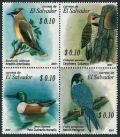 Salvador 1675 ad block