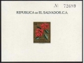 Salvador 718, C192