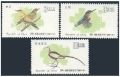 Taiwan 2033-2035 mlh
