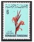 Tunisia 500
