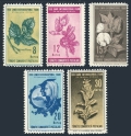 Turkey 1008-1012 mlh