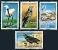 Turkey B153-B156 mlh